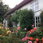 Remote Thatch Cottage On Dartmoor With Hot Tub